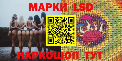 ALPHA PVP Кунгур